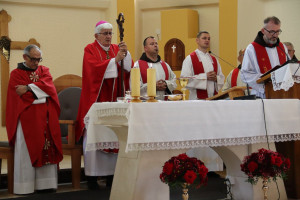 Sv. Vid - slavlje Dana župe 21.6.2026. s biskupom Željkom