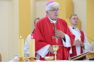 Sv. Vid - slavlje Dana župe 21.6.2026. s biskupom Željkom