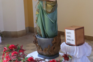 Sv. Vid - slavlje Dana župe 21.6.2026. s biskupom Željkom