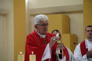 Sv. Vid - slavlje Dana župe 21.6.2026. s biskupom Željkom
